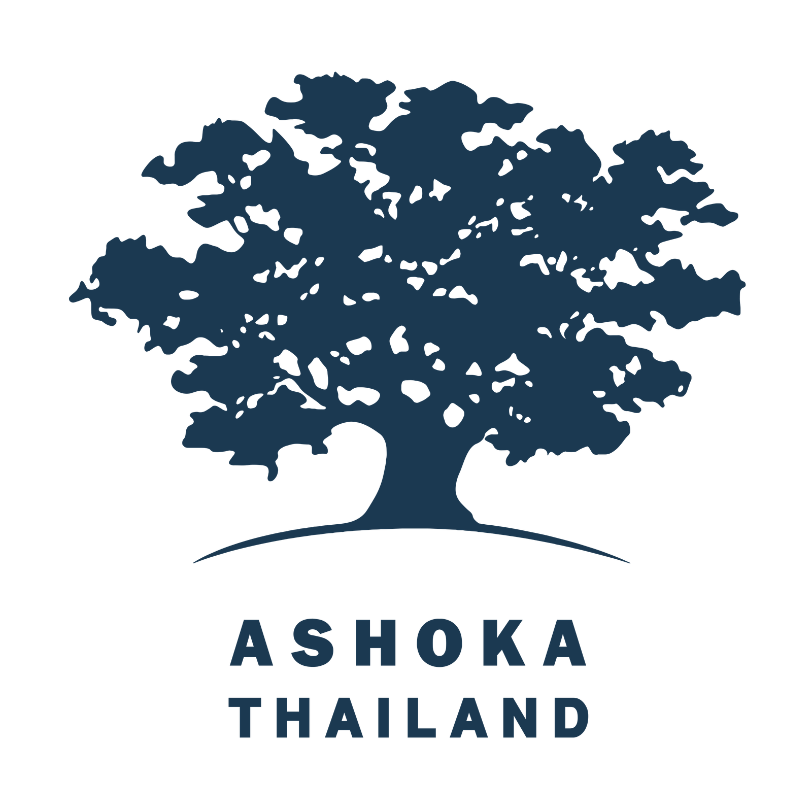 Ashoka Thailand Country Director